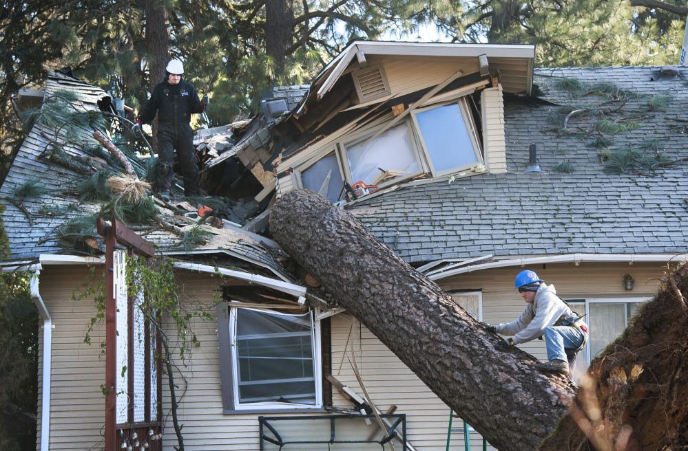 Strong winds cracked trees and left more than 180,000 homes without power near Spokane, Wash., last week.