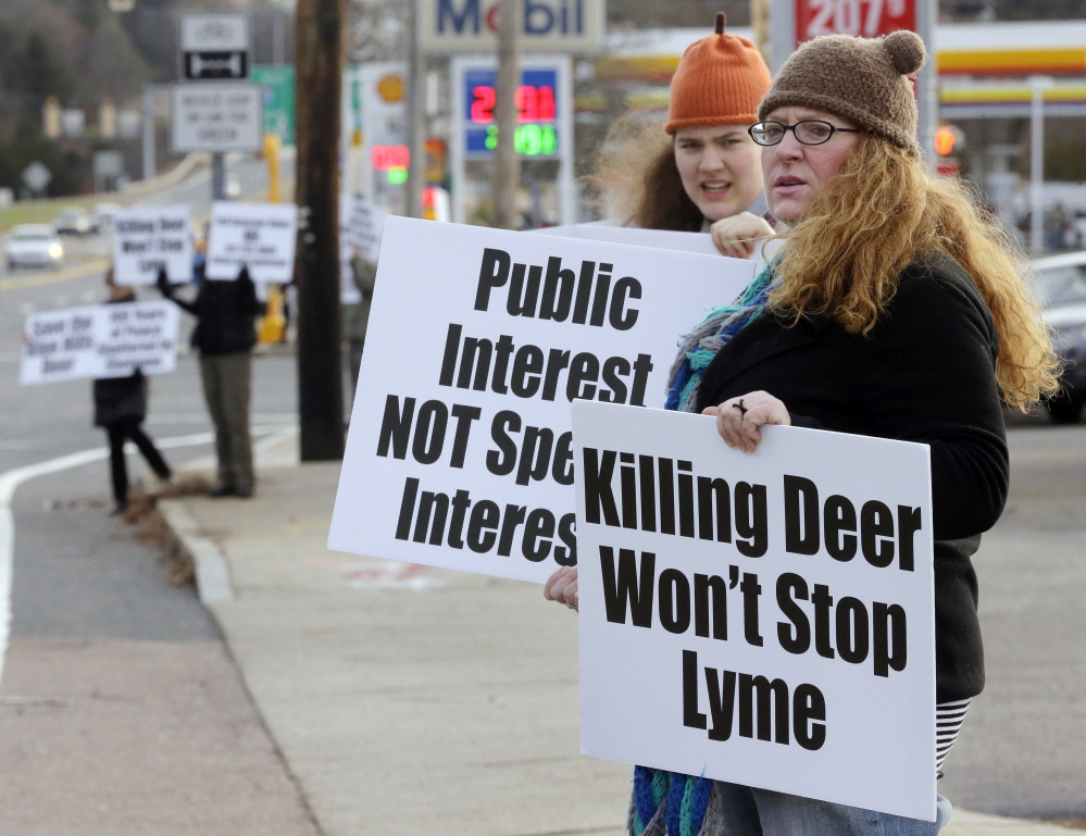 Activists protest a plan to hunt deer in the Blue Hills Reservation in Massachusetts. They would like to reduce deer population by means of contraception or sterilization.