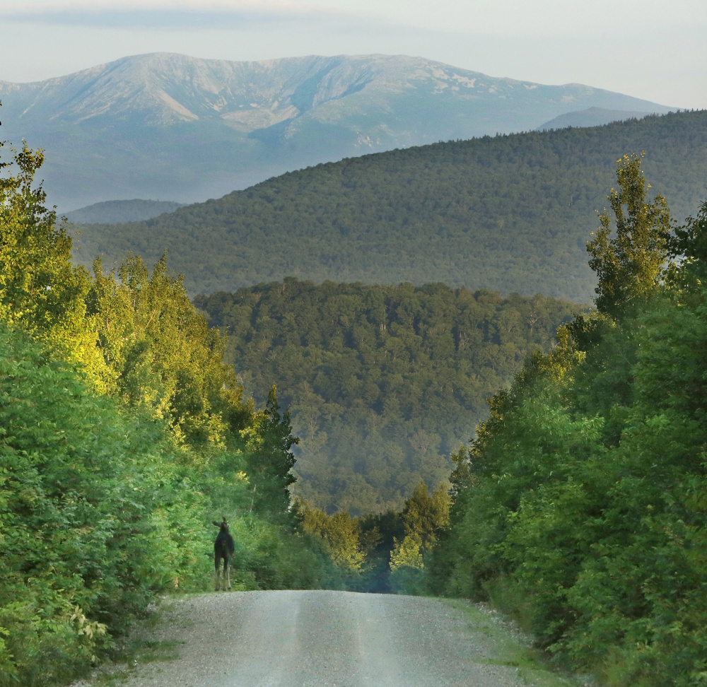Could the 75,000-acre parcel east of Baxter State Park be designated as a national monument? Since 1906, presidents from both parties have used the Antiquities Act to protect 145 similar sites.