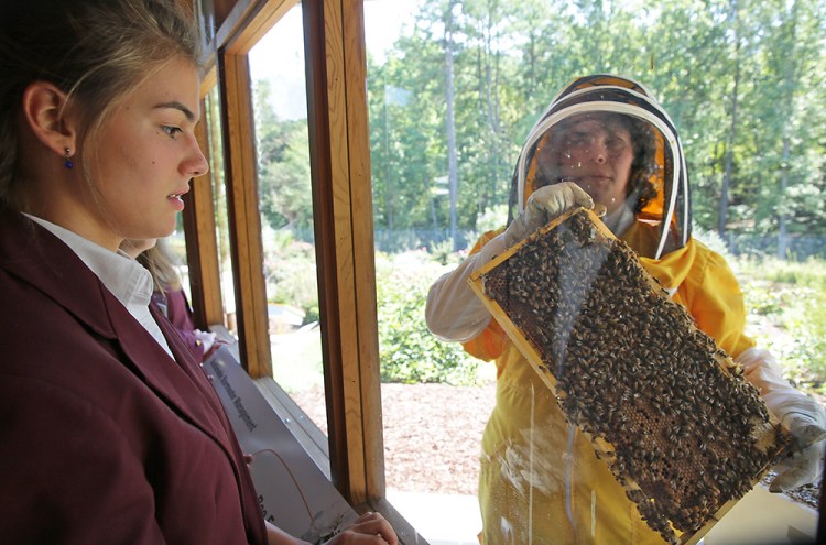 Sarah Myers, a manager at the Bayer North American Bee Care Center, shows a tray of bees to St. Thomas More Academy student Maria Pompi during a tour of the center in Research Triangle Park, N.C., recently. The Associated Press