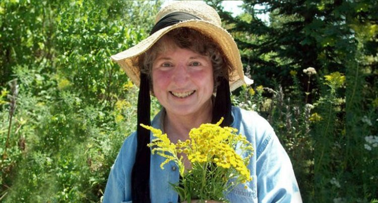 Nancy Oden harvests medicinal herbs, tansy and goldenrod, in her Jonesboro organic garden. Photo by Peter Aldridge