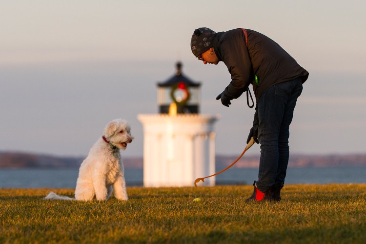 In this 2015 photo, Jac Ouellette of South Portland reaches for a ball while his dog waits to chase it at Bug Light Park. Money Magazine notes South Portland's beautiful vistas in calling the city Maine's best place to live.