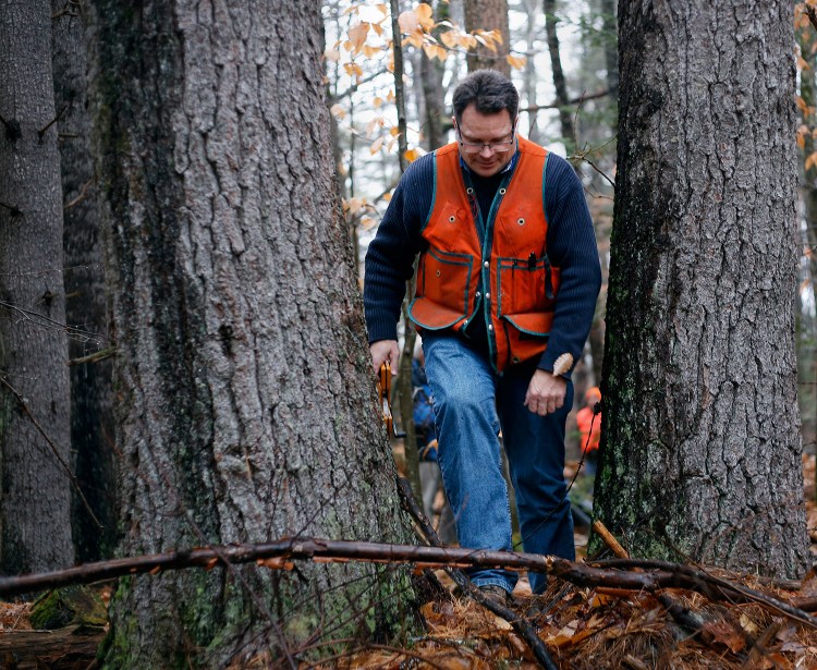 Brian Roth, a forest scientist at the University of Maine, runs a measuring tape from the tree in Lovell while trying to determine its height.
Derek Davis/Staff Photographer