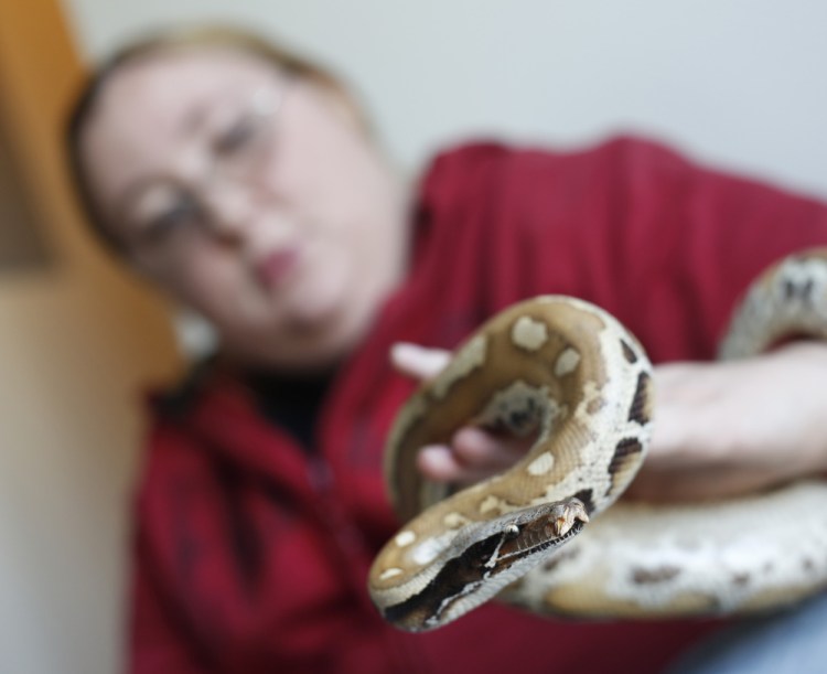 Karrie Herring should have been allowed to keep her pet snakes, writes Jack Jones of Brunswick, who used to display exotic species to the delight of children.