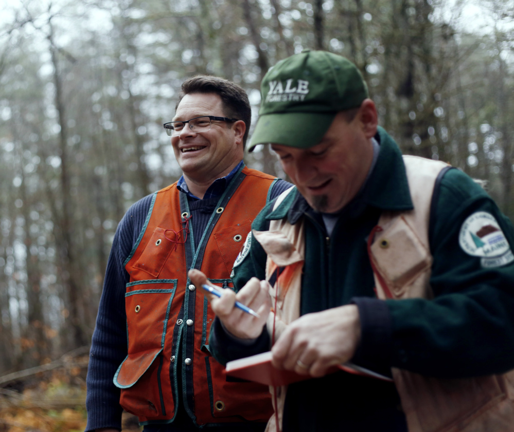 University of Maine forest scientist Brian Roth, left, and Shane Duigan, a forester with the Maine Forest Service, take part in the official measuring process Wednesday in Lovell.