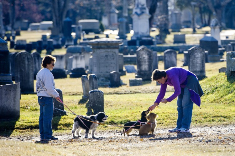 Andrea Viennau and Kelly Anderson of Falmouth enjoy a warm Saturday afternoon, with their dogs in Evergreen Cemetery. Some residents are concerned about parking congestion on Stevens Avenue, the main street next to the cemetery. Gabe Souza/Staff Photographer