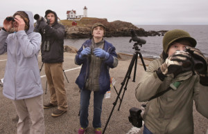 Young birds of a feather look skyward at Nubble Light. That’s Fyn Kynd, 15, right, of Searsmont; Sebastian Benedetto, 12 center, of York; and Grace Evans, 13, left, of Old Orchard Beach along with Maine Audubon naturalist Doug Hitchcox.