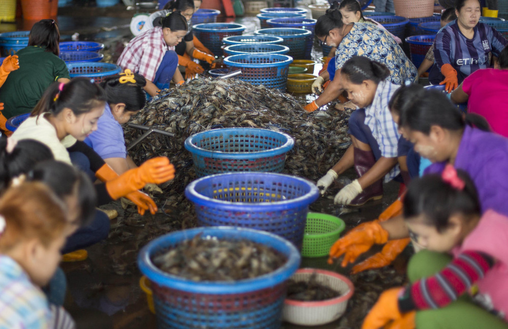 Workers sort shrimp at a seafood market in Mahachai, Thailand. The Asian nation sends nearly half of its supply to the U.S., where it shows up in grocery stores and all-you-can-eat buffets.