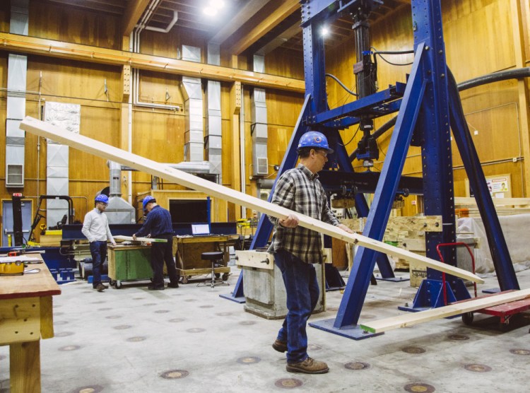 Maine Advanced Structures and Composites Center technician Jon Hill carries lumber from a Norway spruce to be tested at the University of Maine in Orono on Dec. 11, 2015. <em>Whitney Hayward/Staff Photographer</em>