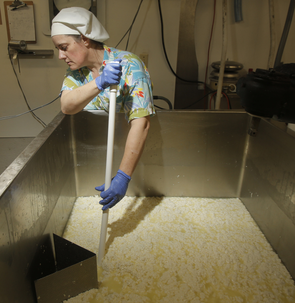 Cheesemaker Allison Lakin drains whey out of curds while making Opus 42. Lakin says she always wears a Hawaiian shirt while making cheese. “You can’t wear a Hawaiian shirt and be unhappy,” she says.