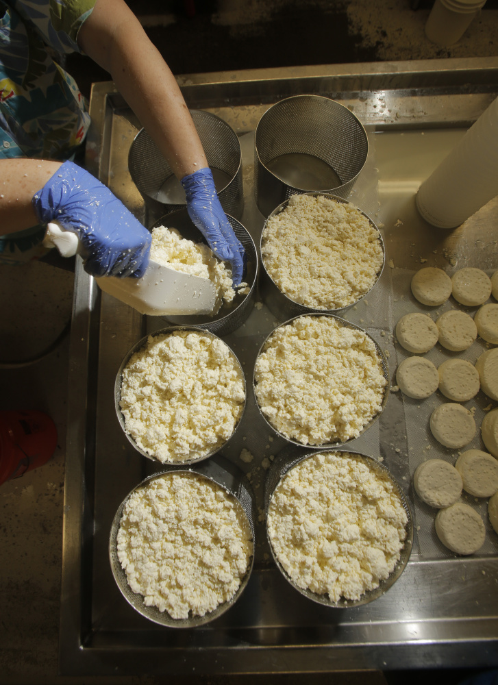 Lakin puts curds into round molds. Opus 42 is a semi-firm cheese with a natural rind that is aged for three months.