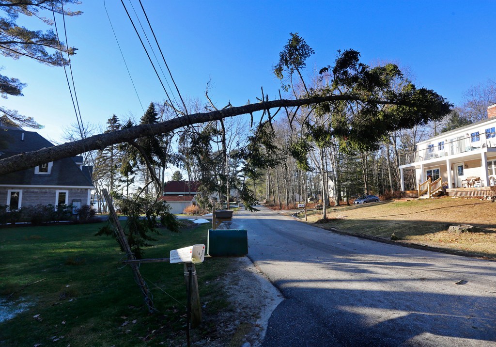 A tree is suspended by power lines over Cushing Briggs Road in Freeport on Monday after a storm that knocked out power for more than 50,000 Maine customers. 
Derek Davis/Staff Photographer