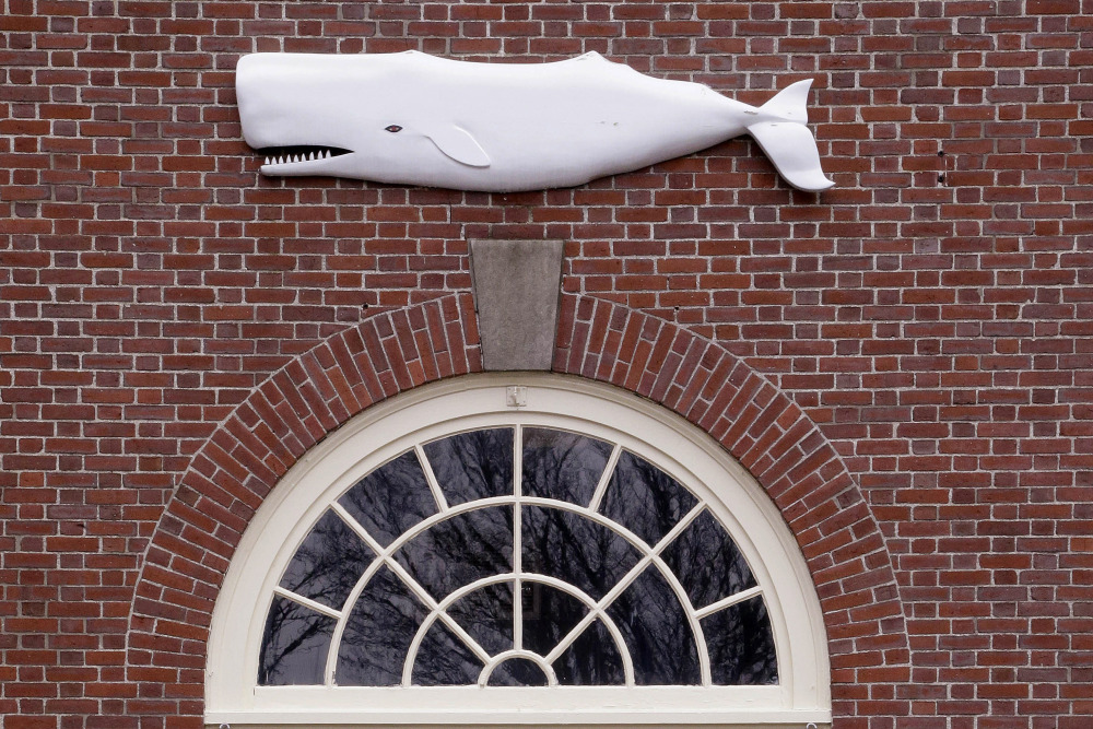The likeness of a whale adorns the New Bedford Whaling Museum, site of the 20th annual reading of “Moby-Dick.”