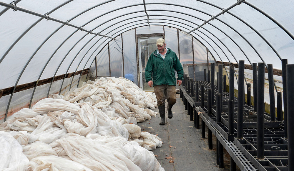 John Mitchell of Heirloom Harvest Community Farm in Westborough, Mass., walks through his greenhouse where he stores cloth crop covers during the winter. Mitchell says he must be ‘diligent’ about snow removal and repairs at this time of year.