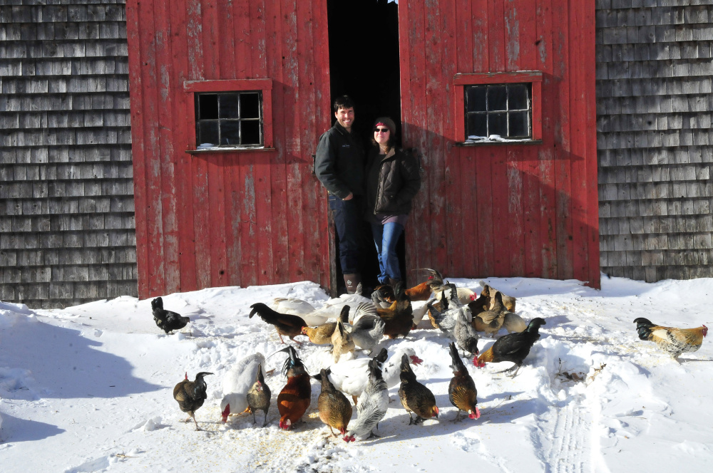 Andrew and Ann Mefferd grow and market organic vegetables and raise their own chickens at their One Drop farm in Cornville. They have also just bought the national magazine Growing for Market, which they are producing out of their farmhouse.