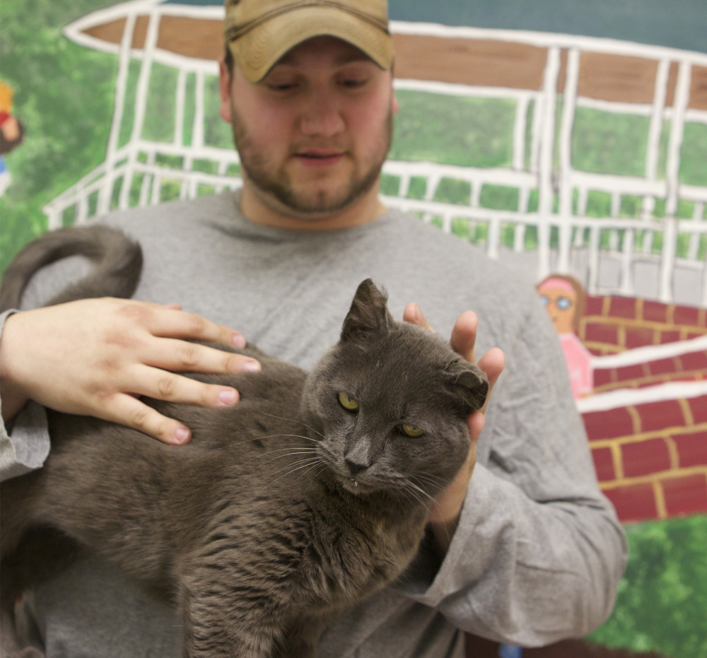 Robert Connell pets Hemi in New Bern, N.C. He drove 1,700 miles to retrieve his lost-and-found cat.