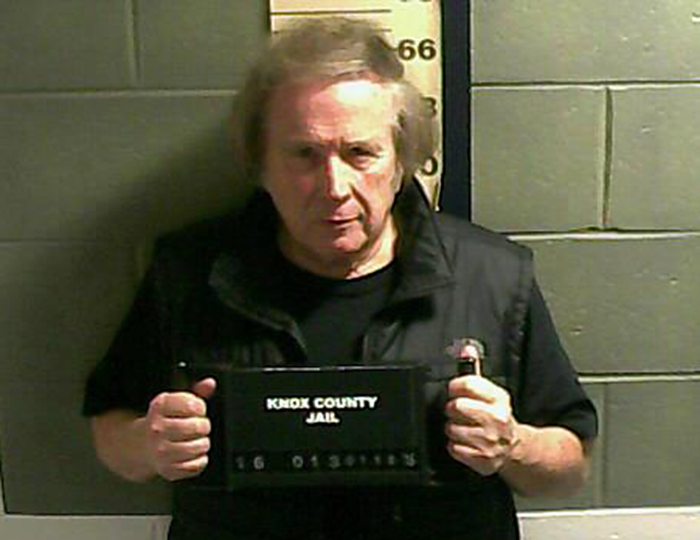 Singer-songwriter Don McLean pleaded guilty to several domestic-violence-related charges.