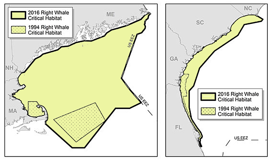Under the new NOAA policy, critical habitat for feeding expands from 2,925 to 21,334 nautical miles in the Northeast, shown at left, and critical habitat for calving  expands from 1,611 to 8,429 nautical miles in the Southeast.