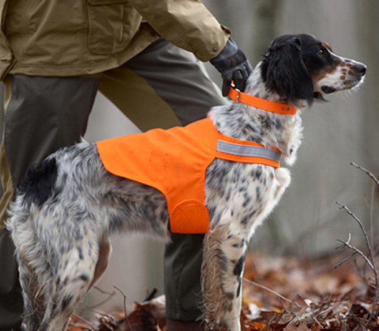 Tick Repelling Safety Dog Vests made by Dog Not Gone Visibility Vests in Skowhegan will be sold on a test basis at Wal-Mart beginning next month.