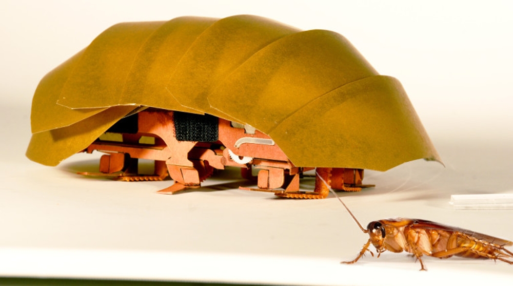 A researcher says real cockroaches are “disgusting” and “really revolting,” but the bugs could inspire swarms of robots that could help in a disaster.