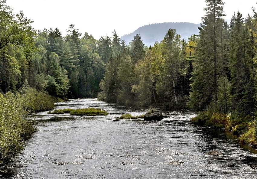 A view of the Seboeis River, which runs into land owned by Elliotsville Plantation Inc. This could be preserved for the enjoyment of future generations, if Maine officials will cooperate with the federal government.