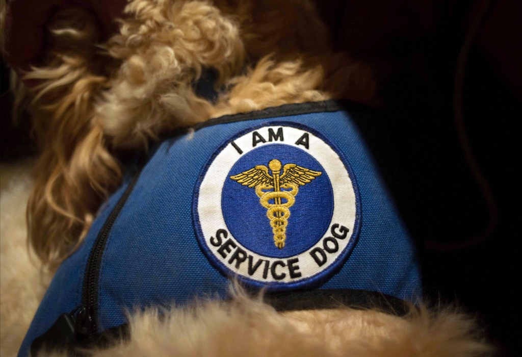 Many people are misusing the title of “service animal” to ensure that they are allowed to move in with animals that would not normally be allowed, a worker in the affordable-housing field says.
Sunday Telegram file photo