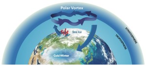 polar vortexfds 13