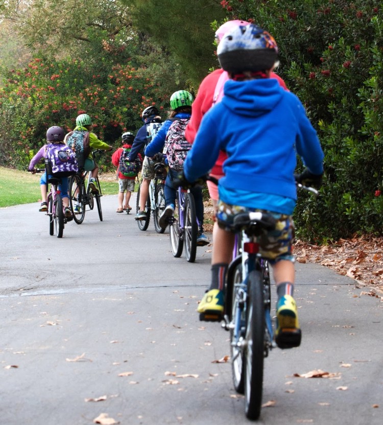 In 2013, 33 percent of students in Davis, California, biked to school, and another 11 percent walked.