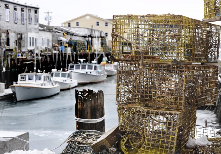 A Canadian expert is being brought in to talk to Maine lobstermen about handling the more delicate soft-shell lobsters – likely to be in abundance this spring – to get them safely from the boat to the docks to customers.