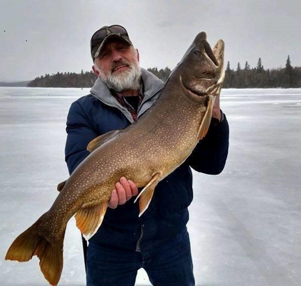 Ice fisherman Vaughn Plourde of Eagle Lake caught this togue that measured 39 inches long and weighed 23.5 pounds near Pond Brook Cabins on Eagle Lake.