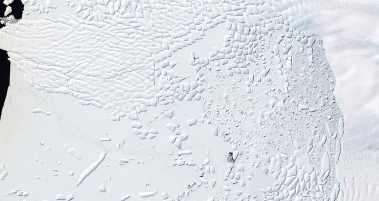 Landsat 8 natural-color mosaic of the ice cliff at the terminus of Thwaites Glacier, West Antarctica on Jan. 9. The data is available from the U.S. Geological Survey.