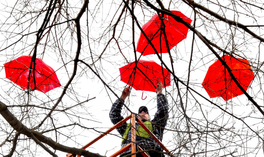 Chris Demerchant of the Waterville Public Works Department attaches umbrellas to a tree Wednesday in Castonguay Square. The umbrellas are part of a celebration of the visual and performing arts in the city.