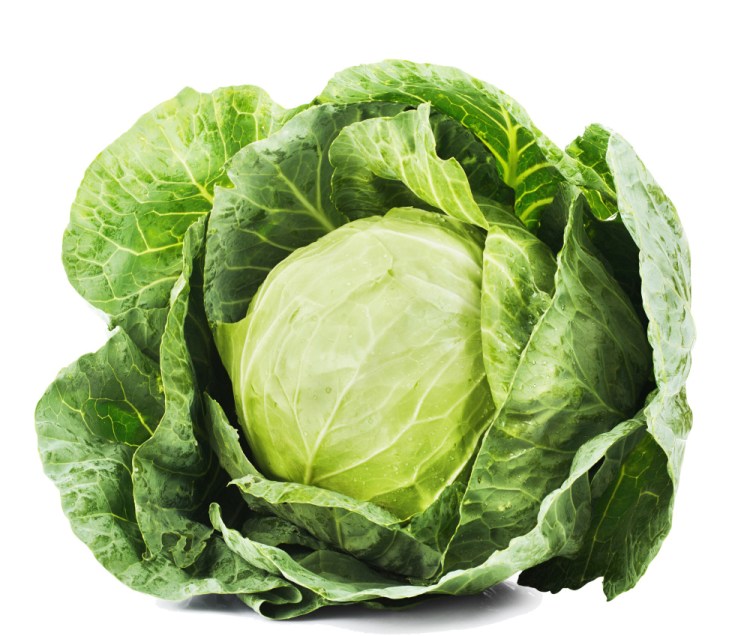 The versatile Cabbage. 