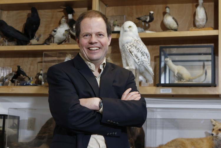 Ole Amundsen, executive director of Maine Audubon, next to a display of taxidermy at the visitors center in Falmouth.