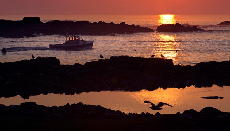 A lobsterman motors through a channel between islands as he leaves Cape Porpoise Harbor at sunrise in Kennebunkport.