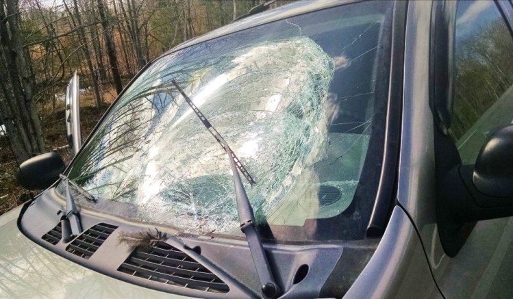The shattered windshield of a Chevy Trailblazer that collided with a turkey on Interstate 95 Wednesday morning. Photo courtesy Maine State Police