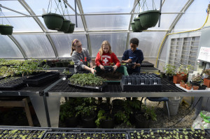 Acadia Calderwood, 15, Emily Martel, 12, and Mitiku Yeatts, 12, work in the greenhouse at the Islesboro Central School.