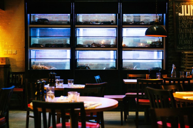 Tanks holding North American lobsters line the dining area at the Stockholm, Sweden, franchise of Burger & Lobster, a London-based restaurant chain that is reportedly the biggest importer of live lobster in Europe. Restaurateurs want regulators to consult them before instituting any ban on lobster imports.