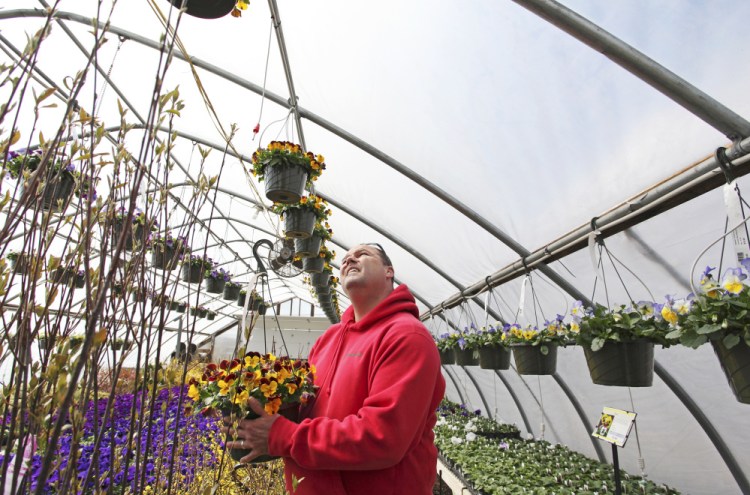 Tom Estabrook of Estabrook's garden center in Yarmouth says the proposed pesticide ban could set a bad precedent.