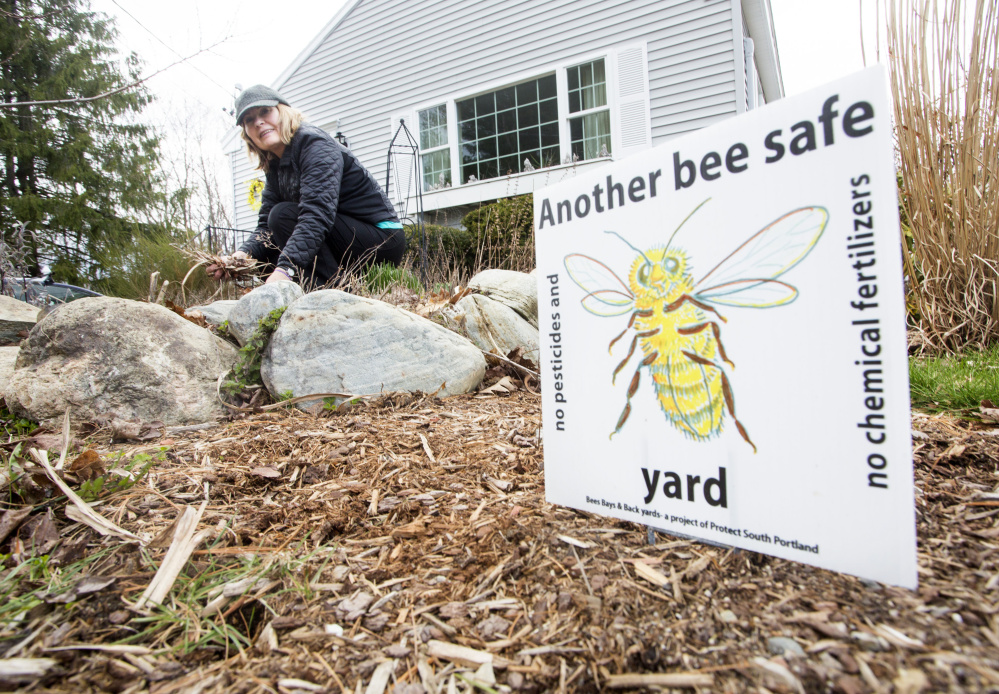 Cathy Chapman, a master gardener and coordinator of the group backing the South Portland pesticides ban, says "it's the wave of the future for a healthy and sustainable world."