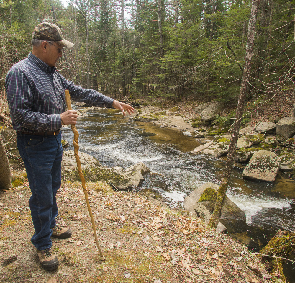 Ralph Hatt's decision to pass on his land along Mill Brook to the Mill Brook Preserve will have a major impact on alewives continuing their vital migratory spawning patterns.