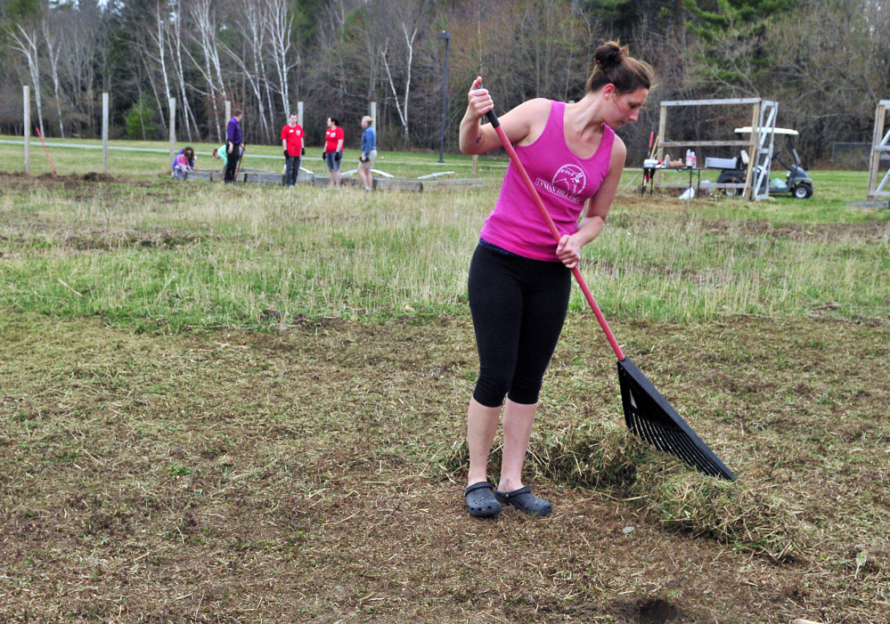 Erika King rakes up after another volunteer ran a string trimmer over the plot Friday at the University of Maine at Augusta community garden.