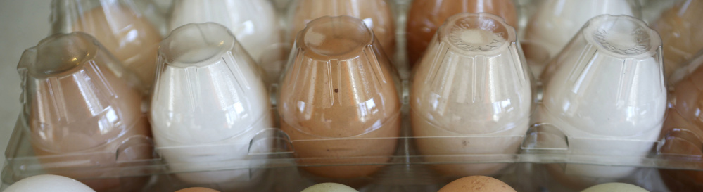 Eggs are packaged for sale at Quill's End Farm.