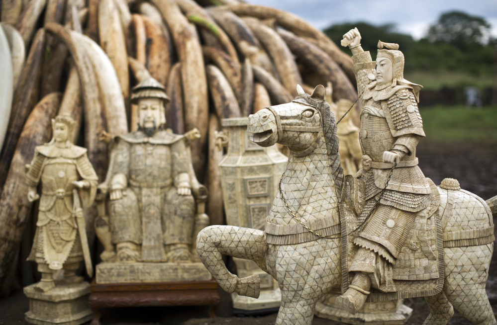 Ivory statues stand in front of one of around a dozen pyres of ivory, in Nairobi National Park, Kenya Thursday, April 28, 2016. The Kenya Wildlife Service (KWS) has stacked 105 tons of ivory consisting of 16,000 tusks, and 1 ton of rhino horn, from stockpiles around the country, in preparation for it to be torched on Saturday to encourage global efforts to help stop the poaching of elephants and rhinos. (AP Photo/Ben Curtis)