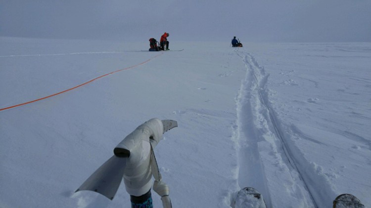 The Alaska Air National Guard four-man guard rescue team skiing on top of the Harding Ice Field in Alaska.