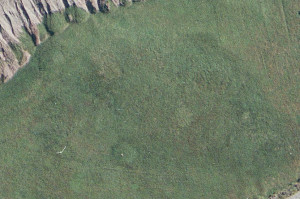 An unprocessed satellite image of Point Rosee. Parcak and her team were alerted to the presence of an archaeological site here by almost imperceptible variations in the vegetation. Courtesy Environmental Council of Newfoundland and Labrador
