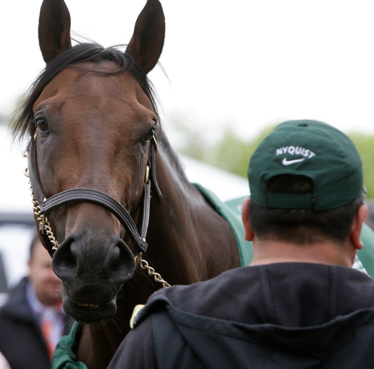 The Belmont Stakes will be without Nyquist for the June 11 race. Nyquist will return to California but may be in New York in August for the Travers Stakes at Saratoga.   The Associated Press
