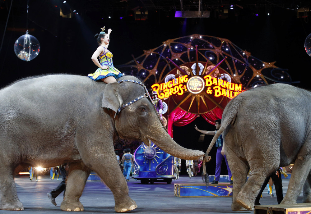 The Ringling Bros. and Barnum & Bailey elephants perform in 2015. 