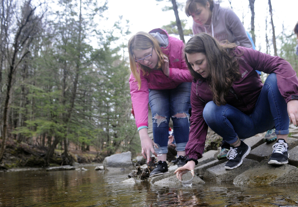 Messalonskee High School students Serena Collins, right, Elizabeth Newman, background, and Mariah Bernard release Atlantic salmon on Monday into Bond Brook in Augusta.