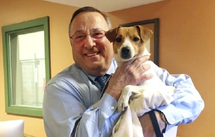 Gov. Paul LePage  adopted a new "first dog" from the Greater Androscoggin Human Society and named the Jack Russell terrier mix Veto.